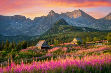 Polonya 'daki Hala Gasienicowa, Tatras' ta güzel bir yaz günü.