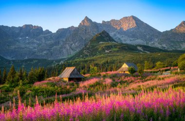 Güzel bir yaz sabahı dağlarda - Polonya 'da Hala Gasienicowa - Tatras