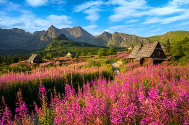 Güzel bir yaz sabahı dağlarda - Polonya 'da Hala Gasienicowa - Tatras