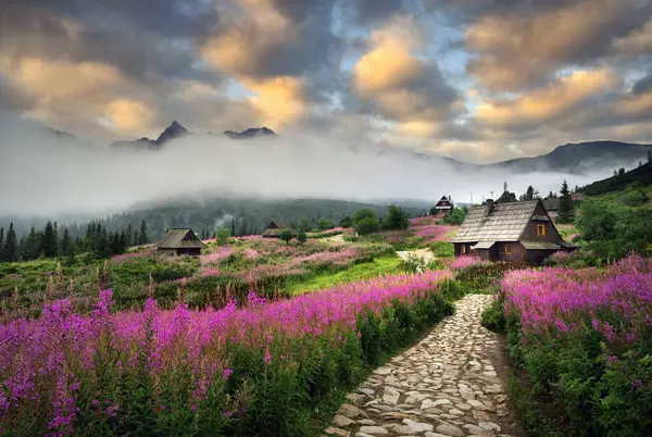 山の中で美しい夏の日の出 ポーランドのHala Gasienicowa タトラ — ストック写真