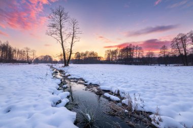 Nehir kıyısında güzel bir kış sabahı