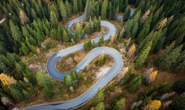 Winding Road Green Forest Aerial View — Stock Photo, Image