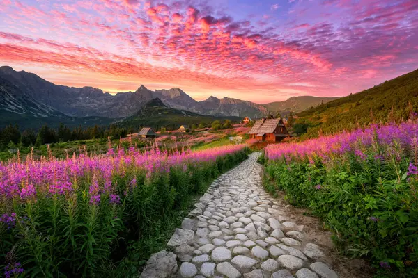 Beautiful Summer Sunrise Mountains Hala Gasienicowa Poland Tatras — Stock Photo, Image