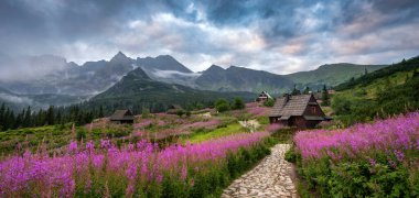 Güzel bir yaz sabahı dağlarda - Polonya 'da Hala Gasienicowa - Tatras