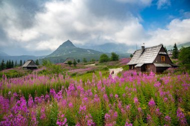 Güzel bir yaz sabahı dağlarda - Polonya 'da Hala Gasienicowa - Tatras