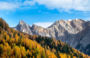 Dağlarda sonbahar manzarası