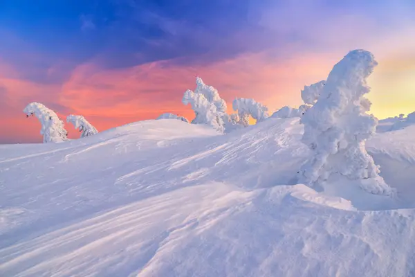Prachtig Winterlandschap Met Bomen Bedekt Met Sneeuw — Stockfoto