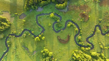 Orman arasındaki doğal nehir - gökyüzü manzaralı