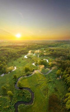 Orman ve nehir üzerinde güzel bir bahar sabahı - insansız hava aracı manzarası