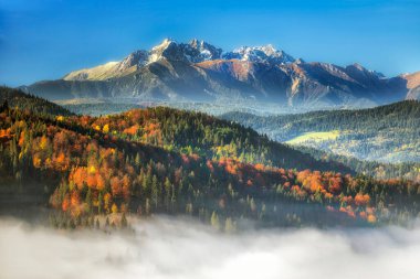 Beautiful foggy morning over the Tatry mountains clipart