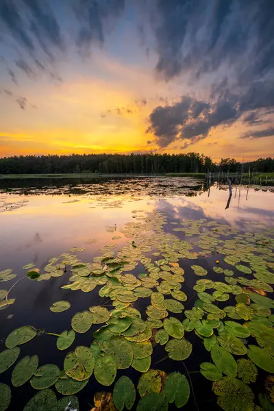 Schöner Sommersonnenuntergang Über Dem See — Stockfoto