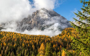 Dağlar sonbahar boyunca sisle kaplı 