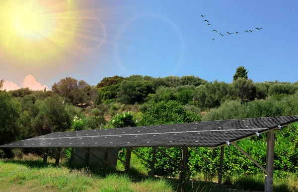 Baterias Solares Pretas Jardim Jardim Verde Com Painéis Solares Para — Fotografia de Stock