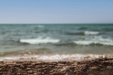 Ürün ambalajı eklemek için model. Doğal arka plan, sahil ve ahşap kütük.