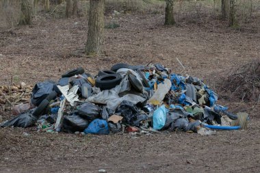 Ormanda toplanan büyük çöp yığını doğal çevreyi kirletiyor.