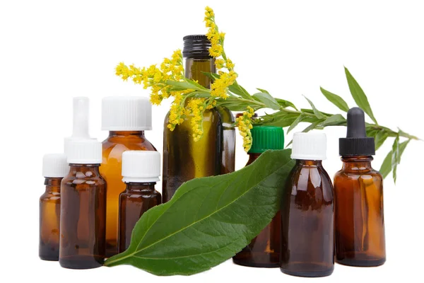 Grupo Vasos Garrafas Farmacêuticas Com Medicamentos Base Plantas Conceito Medicina — Fotografia de Stock