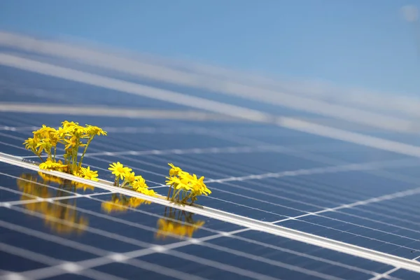 太阳能电池板的特写 替代能源生产 — 图库照片