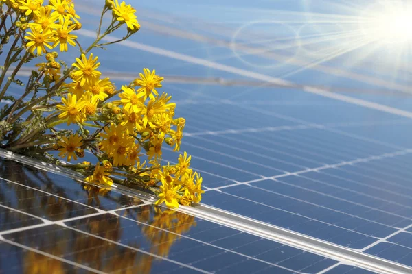 Zbliżenie Ogniw Panelu Słonecznego Żółte Kwiaty Zrównoważone Źródło Energii Przestrzeń — Zdjęcie stockowe