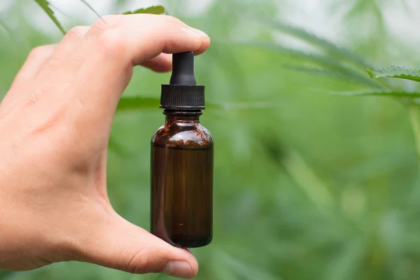 Hände Halten Braune Flasche Mit Cannabisöl Nahaufnahme Pflanzenblätter Hintergrund — Stockfoto