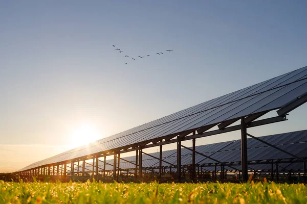 Painel Solar Fundo Céu Conceito Alternativo Energia Solar Espaço Cópia — Fotografia de Stock