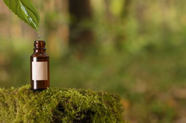 Yeşil bulanık arka planda yağlı bir şişe, yakın çekim görüntüsü. Metin için alanı kopyala.