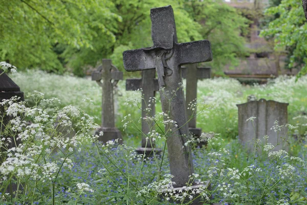 Старые Надгробия Историческом Кладбище Бромптон Лондоне — стоковое фото