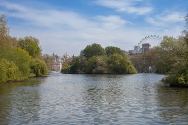 Londra 'daki Saint James Parkı, su ve ağaçlar.