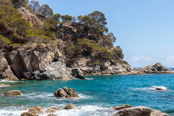 Rocky Coastline Lush Greenery Costa Brava Ισπανία — Φωτογραφία Αρχείου