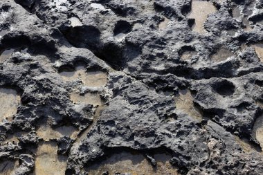 Deniz kenarındaki engebeli, aşınmış kaya yüzeyine yakın çekim.