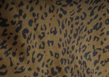 Leopar Yazdırma Kumaşı Yakın plan, Yakın Çekim