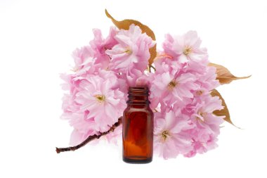 Amber Şişe ile Pembe Kiraz Çiçekleri