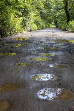 Çukurlu Çamurlu Orman Yolu