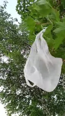 Yapraklı ağaç dallarına dolanmış plastik torba plastik aşırı üretimi ve çevresel sorunları simgeliyor..