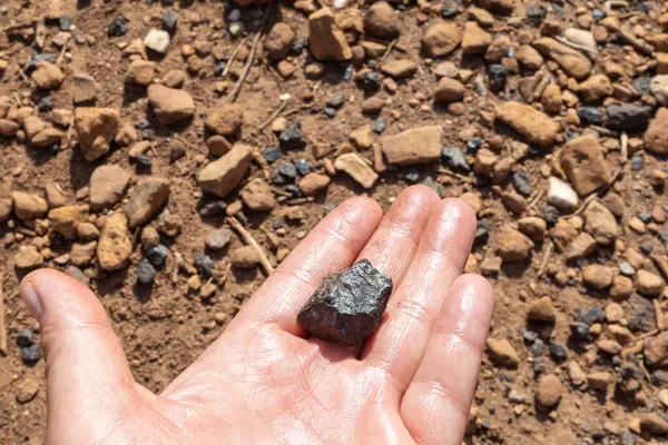 stock image Close-Up Hand Holding Mineral Specimen Outdoors