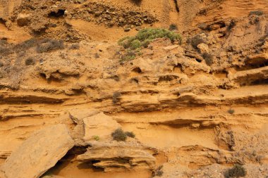 Eroked Sandstone Uçurumları Bitkilerle