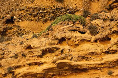 Scivu Sahilindeki Sahne Kum Taşı Uçurumları