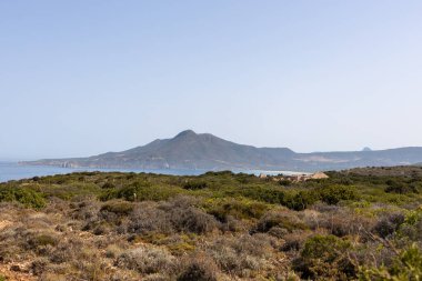 Kıyı Bitkileriyle Dağ Manzarası
