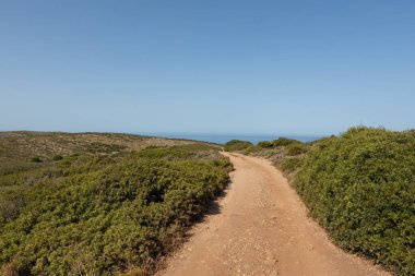 Ufuk çizgisine giden toprak yol.