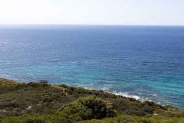 Güneşli Sardunya Açık Deniz Kıyısı