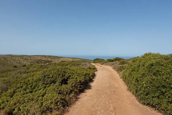 stock image Dirt Road Leading to the Horizon