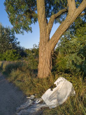 Terk Edilmiş Çöplerle Çevre Kirliliği