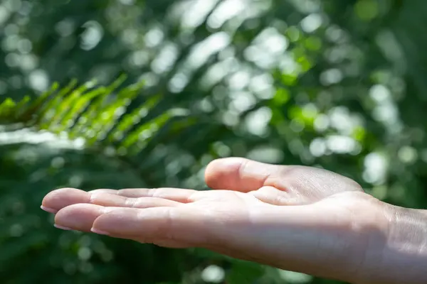 stock image Open Hand in Natural Sunlight with Green Foliage. Mockup