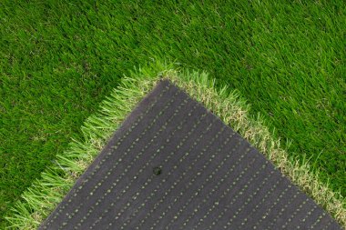 Suni Çimenler Çimlerin Üzerinde Yuvarlanıyor