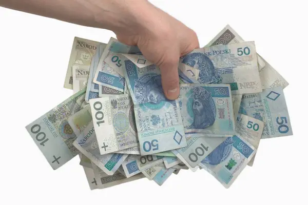 stock image Hand Grabbing Polish Banknotes of Various Denominations