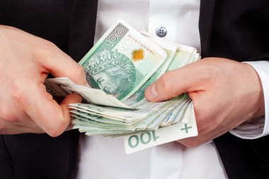 Polonya Zloti Banknotları Yığını Sayan İşadamı