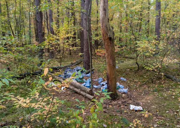 Sonbaharda Plastik Atık Orman Döşemesi