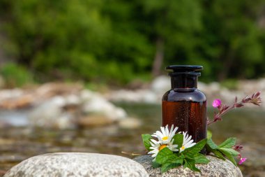 Kehribar cam şişe ve nehir kenarında taze otlar.