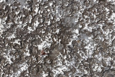 Beyaz Mineral Yamalı Kara Kaya Yüzeyi