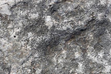 Kireçtaşı Kayası 'nda Koyu Şekilli Mineral Yüzeyi