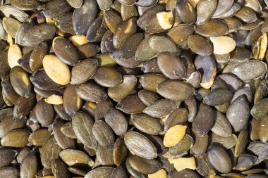 Koyu Yeşil Balkabağı Tohum Dokusunu Kapat